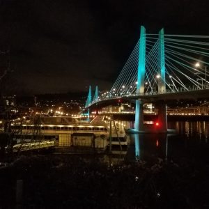 downtown waterfront nighttime tilikum crossing bridge with reflection